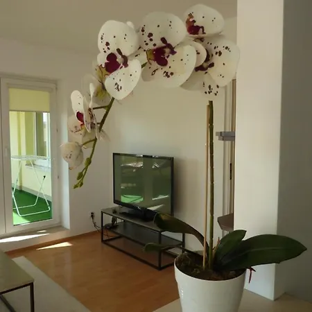 Apartament Sunny Tower Motorowa *